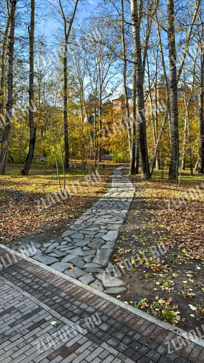 Изображение продукта